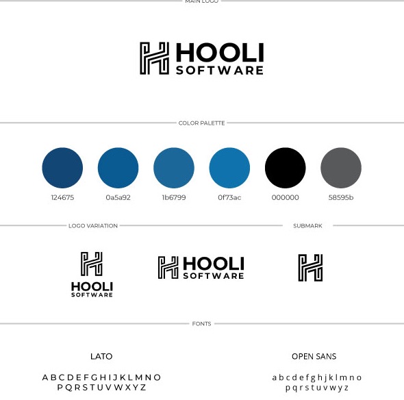 A graphic displaying branding elements for Hooli Software, including the main logo, color palette, logo variation, submark, and font choices.